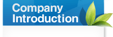 Company Introduction